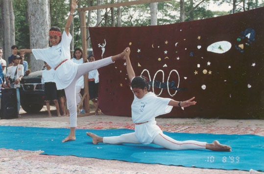 cambodian circus