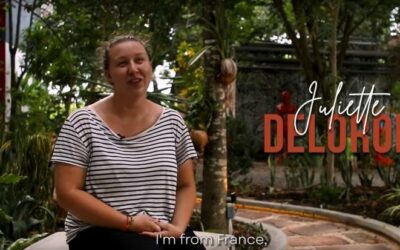 Rencontrez les volontaires de Phare Ponleu Selpak : Juliette DELORON, graphiste [Vidéo]