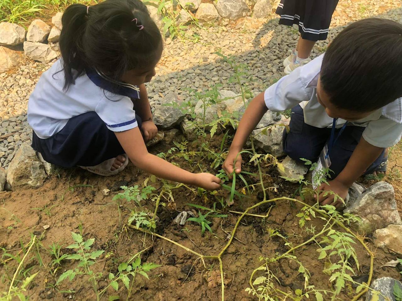 Read about the nutrition and child protection programs provided by the social support team at Phare Ponleu Selpak