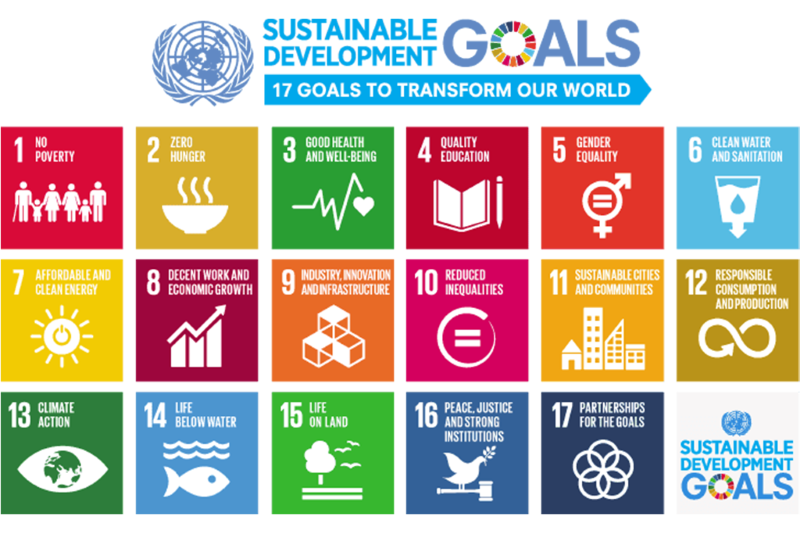 The 17 UN Sustainable Development Goals (SDGs)