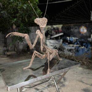 Grasshopper #2